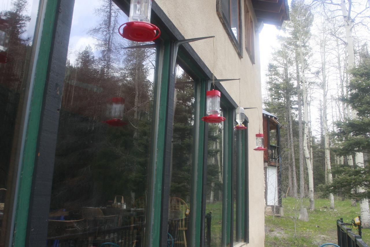 Amizette Inn Taos Ski Valley Exteriér fotografie